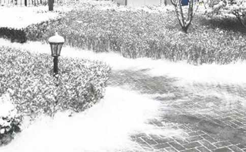 ����ɭ�ַ��������Y(ji��)