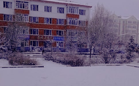 ���յĜ�������