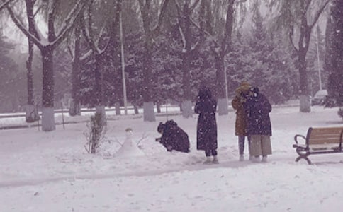 冬日里的暖陽(yáng)作文【優(yōu)選】