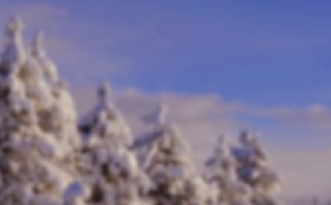 �茑����ѩ���ă�(y��u)������