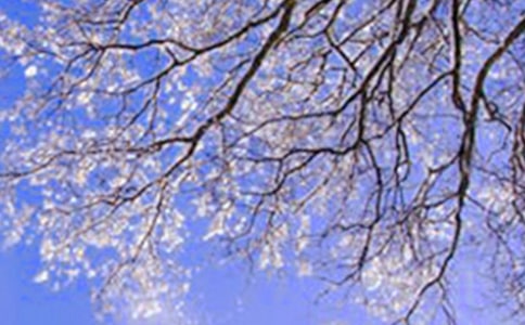 描寫冬天的詞語