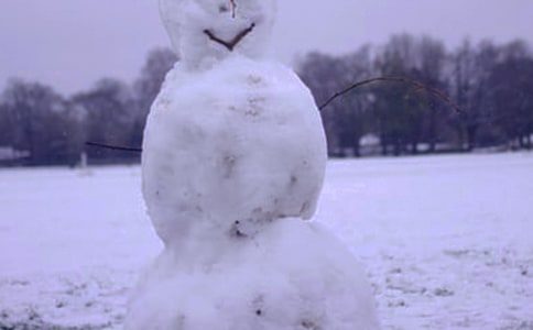 冬天的雪景作文