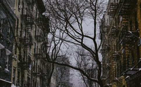 冬天的旋律作文