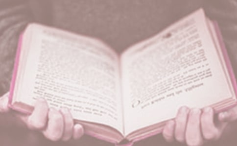 2020�������x���ճ��h�����ģ����x5ƪ��