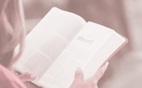 �����x���յĄ�־����