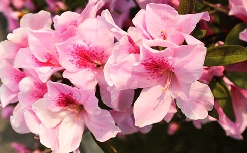 ���N������