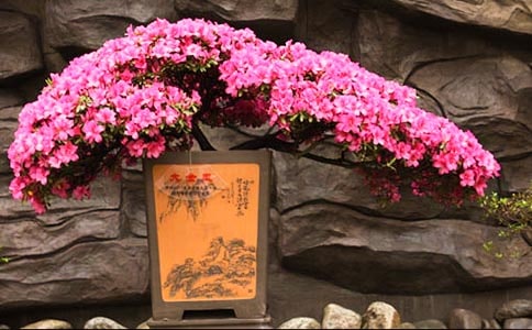 ���N����(y��u)������