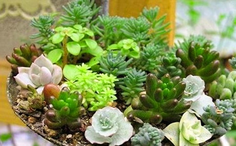 �P(gu��n)�ڶ�������