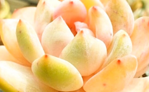 ���⃞(y��u)�����ģ��ϼ�10ƪ��