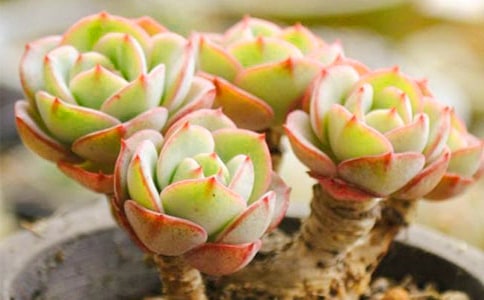 �^���������