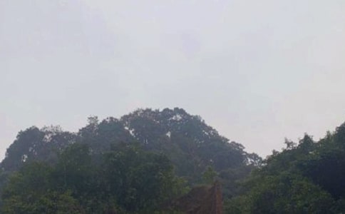 �ζ�üɽ��(y��u)������(�ϼ�7ƪ)