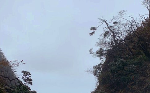 �ζ�üɽ��(y��u)������ͨ��7ƪ