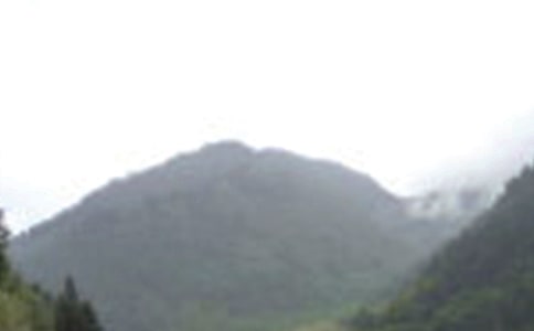 游峨眉山的作文