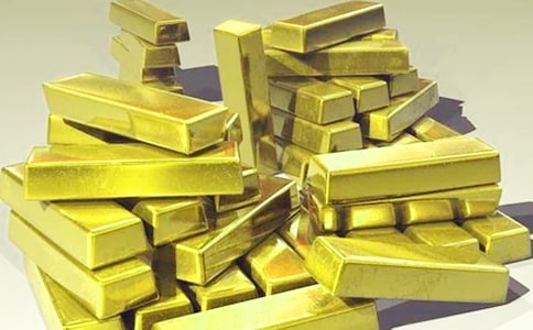 2020發(fā)財(cái)樹優(yōu)秀作文(通用3篇)