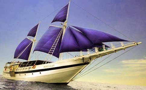 �а����g(sh��)С�����̰�