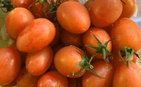 ���ѳ�������(���\15ƪ)