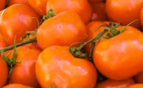 ����̫�(y��ng)�̌W(xu��)�O(sh��)Ӌ(j��)����˼