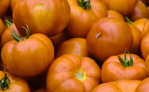 ���ѳ�������15ƪ