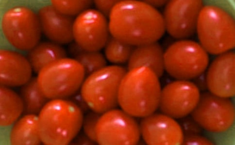 番茄炒蛋作文必備(15篇)