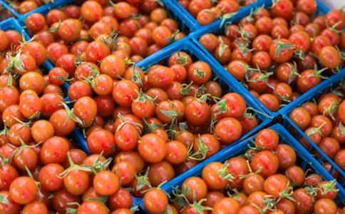 [����]���ѳ�������15ƪ