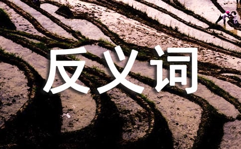 �з��x�~�ľ���