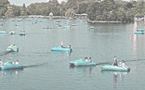 �ƺ��������ġ���(y��u)�x��