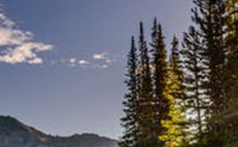 �L(f��ng)�����م^(q��)��00����ȹ������Y(ji��)