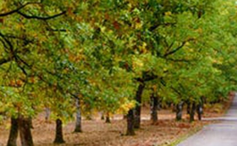 ��(sh��)�õ��L(f��ng)���������ļ��\��ƪ