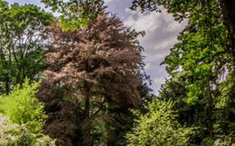 �P(gu��n)���L���������ąR����ƪ