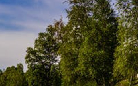 �@���L(f��ng)���^(q��)����̎ˮԴɽ���@�h֧����ӛ����(b��o)��