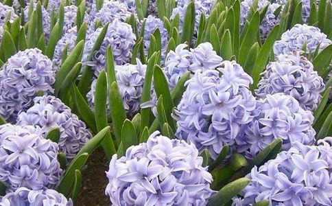 �Ҽҵ��L��������