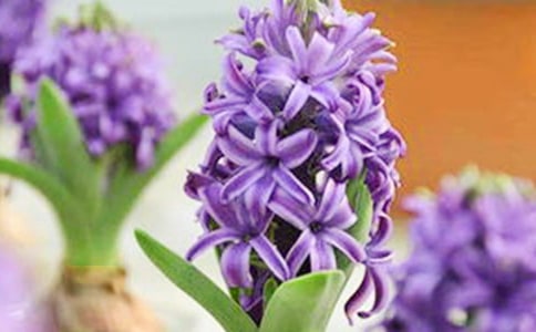 �L(f��ng)��������15ƪ(��Ʒ)