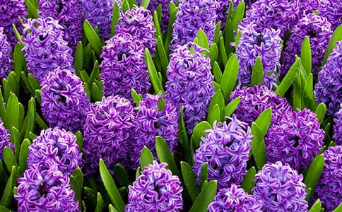 (����)�L(f��ng)��������