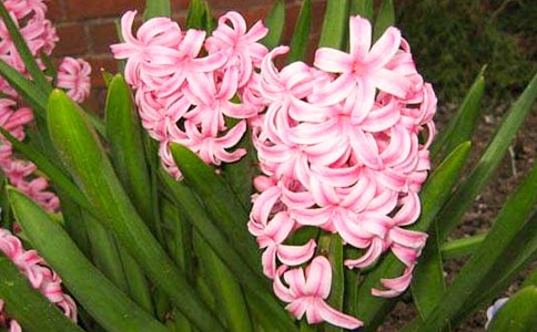 �L(f��ng)�������ĺϼ�15ƪ