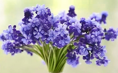 �L(f��ng)��������(ͨ��15ƪ)