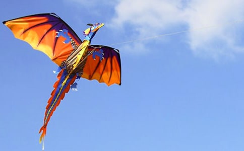 【精選】放風(fēng)箏日記模板5篇