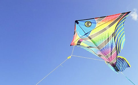 放風(fēng)箏作文