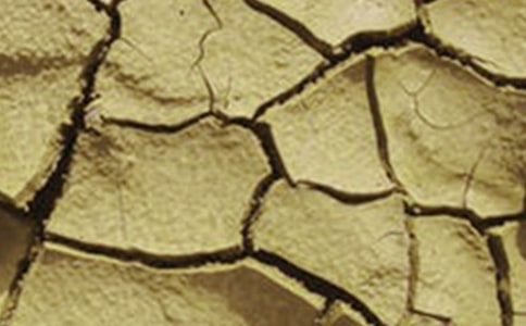 �ɺ��Ŀ��y����500��