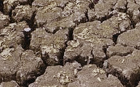 �����ֹ��Į���͸ɺ��՘�(bi��o)�Z,���λ�Į����������(bi��o)�Z