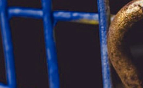 ��F�S�������Y(ji��)