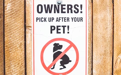 試析“預(yù)增”公告中的投資機會