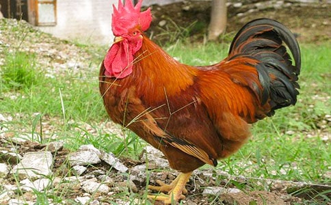 ���u�µ����ģ�ͨ��30ƪ��