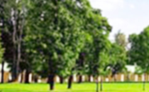 �Ν�ع��@����