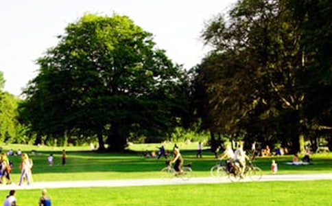 ���@��(g��)�˹������Y(ji��)8ƪ