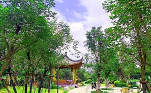 公園實習(xí)報告九篇