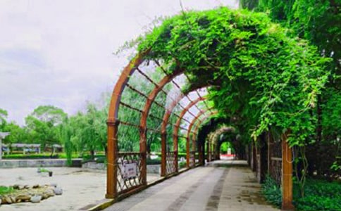 �������Ϻ����@