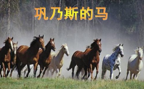 �����˹���R�� ..