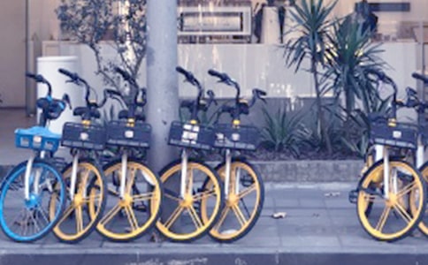 共享單車作文素材