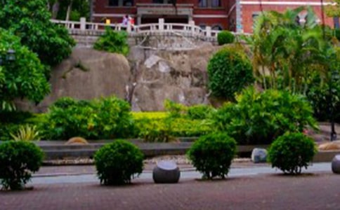 廈門鼓浪嶼作文350字(通用39篇)