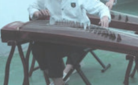 【通用】彈古箏作文